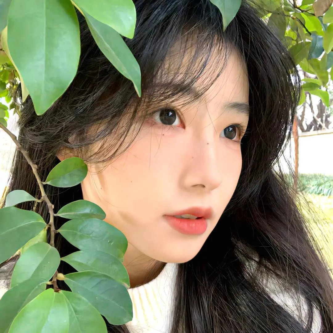 无风的时光